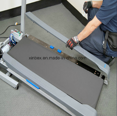 Gray stable treadmill belt