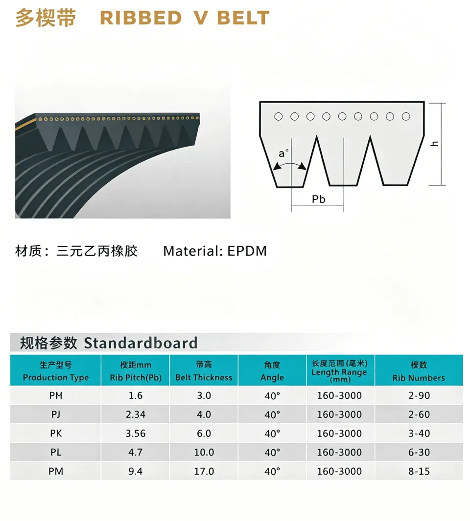 RIBBED V BELT